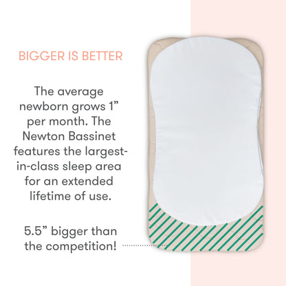 Essential Bassinet