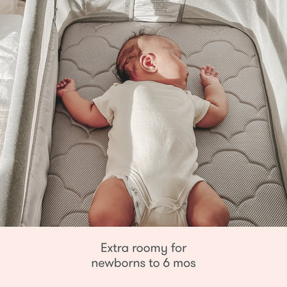 Bassinet & Bedside Sleeper