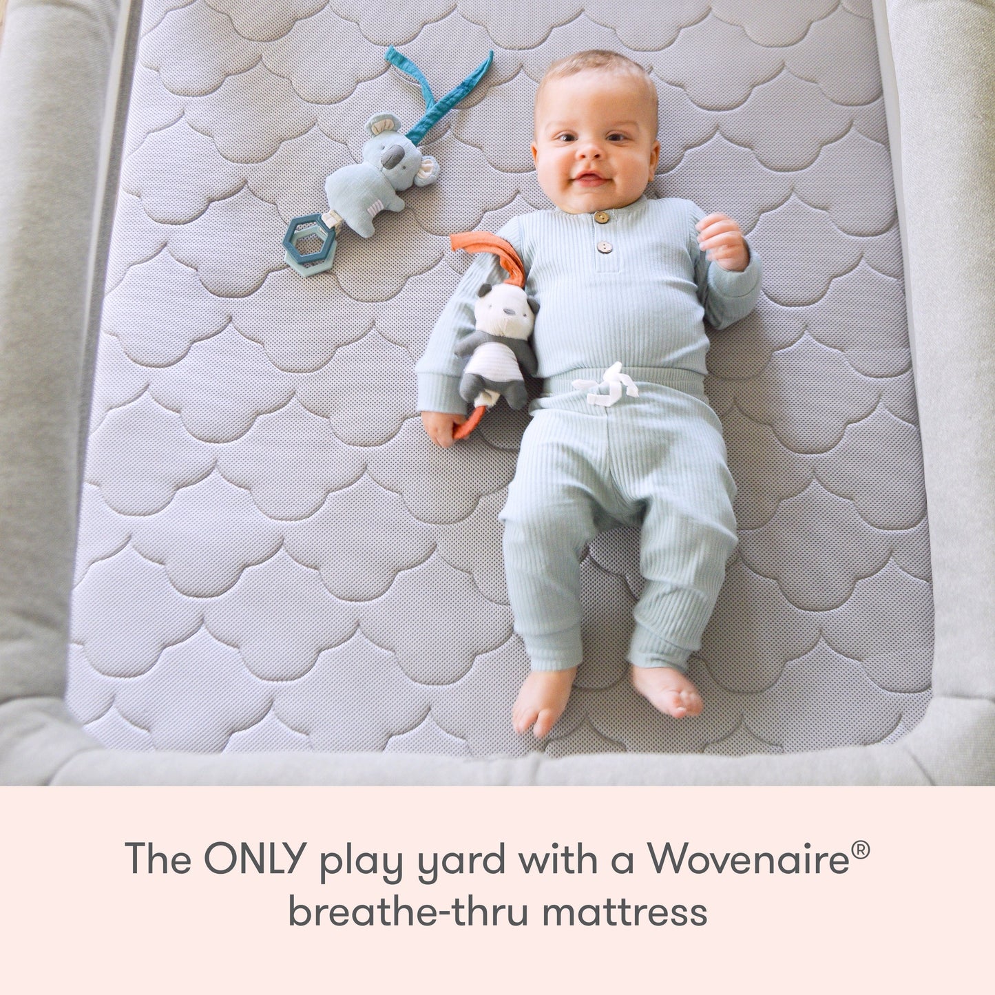 Bassinet & Bedside Sleeper + Deluxe Travel Crib