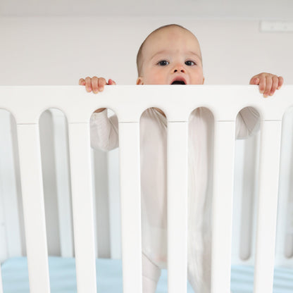 Newton Galileo Convertible Crib