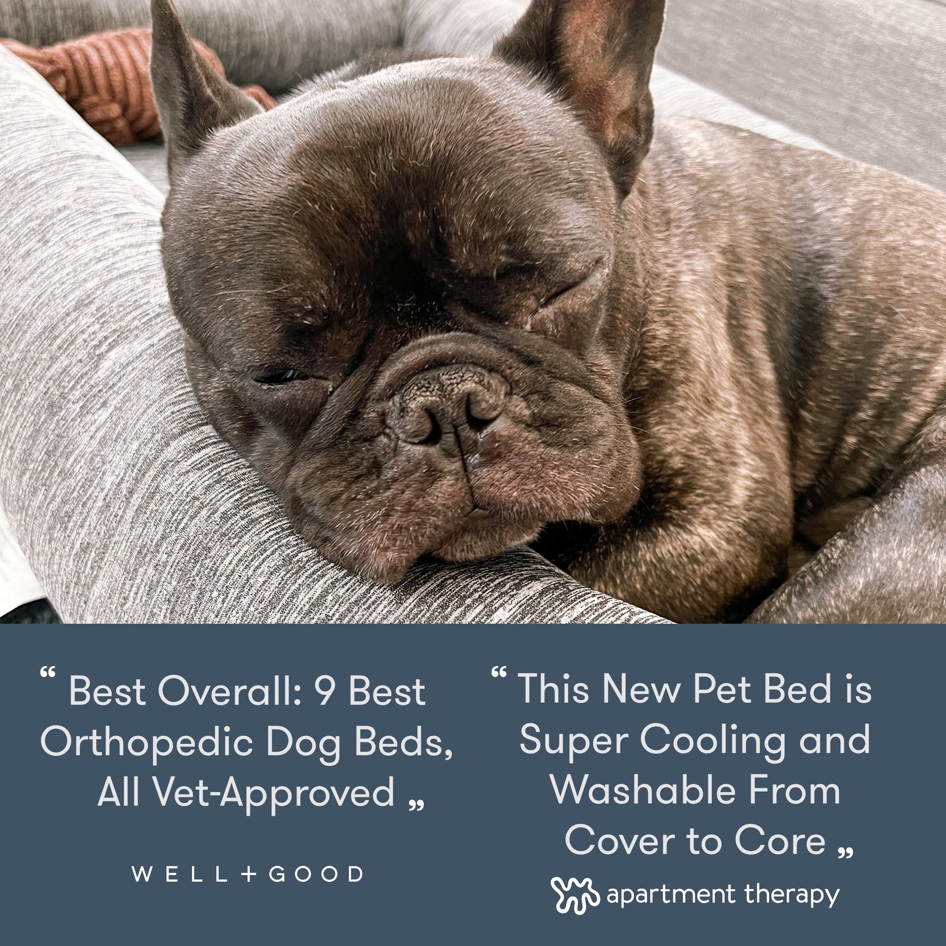 Washable & Orthopedic Pet Bed