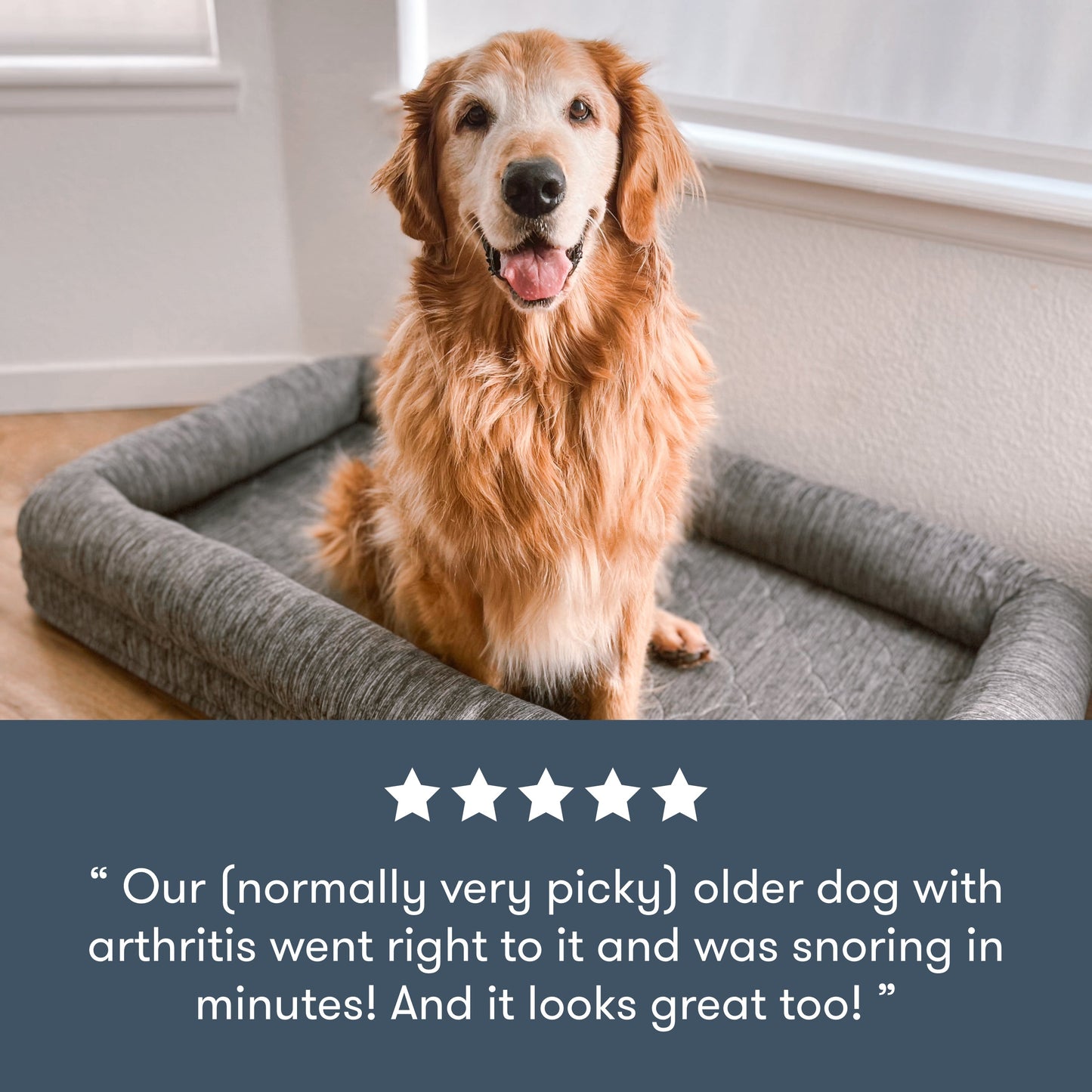 Washable & Orthopedic Pet Bed with Extra Cover - Large / X-Large Only