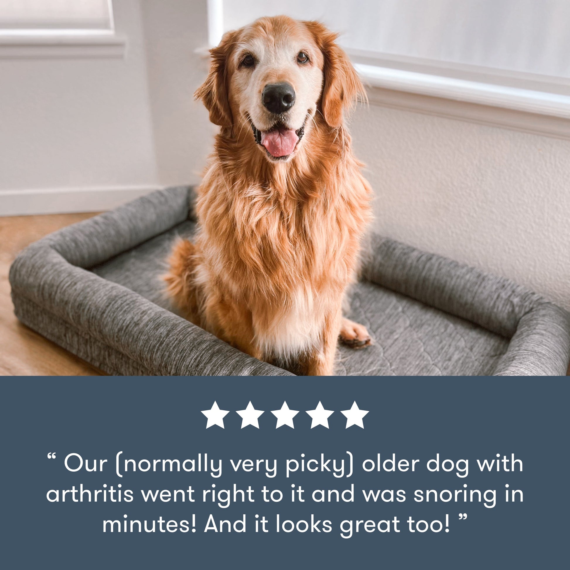 Washable & Orthopedic Pet Bed with Extra Cover - Large / X-Large Only