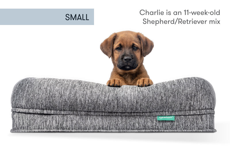 Washable & Orthopedic Pet Bed with Extra Cover - Large / X-Large Only