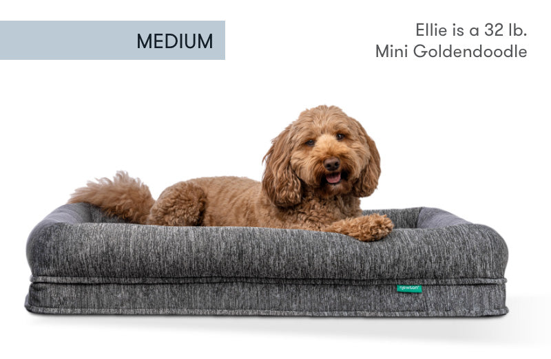 Washable & Orthopedic Pet Bed with Extra Cover - Large / X-Large Only